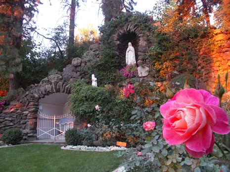 grotto-rose