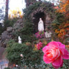 Help keep our Lourdes Grotto beautiful