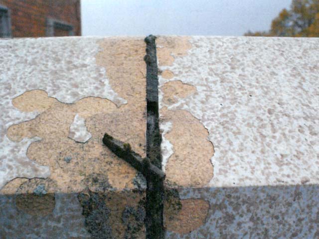Deteriorating surface of terra cotta at the parapet